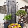 2 Pack Metal Garden Trellis 86.7" x 19.7" Rustproof Trellis for Climbing Plants Outdoor Flower Support Black