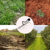 Backyard Gardening Weeding Loosening Farm Planting Garden Rake