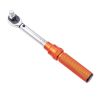 Mechanical Dual Range Scales Torque Wrench Kit with Adapters Extension Rod